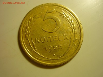 5 копеек 1955г - фыв9