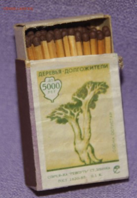 Советские спички по ФИКСУ - IMG_8187.JPG