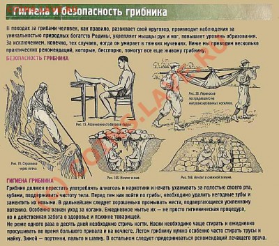 Любители "тихой охоты" есть? Все сюда :) - 2856019276189