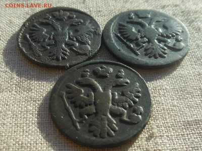 Денга 1734,35,36 до 15.01.2016 в 22-00 МСК - Resize of RSCN5285.JPG