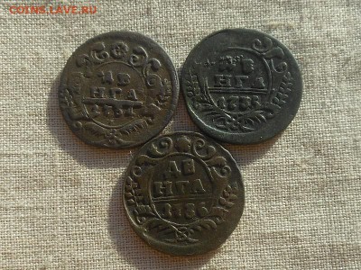 Денга 1734,35,36 до 15.01.2016 в 22-00 МСК - Resize of RSCN5287.JPG