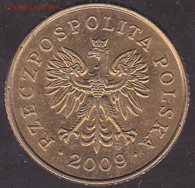 5 грошей 2009 Польша с 1 р. до 14.01 в 22.00 - IMG_0016
