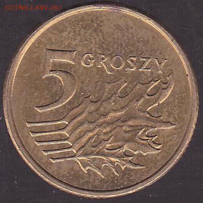 5 грошей 2009 Польша с 1 р. до 14.01 в 22.00 - IMG_0015