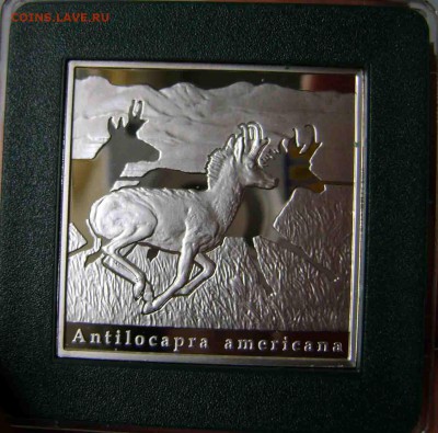 1 долар 2010 год - DSC08602zz