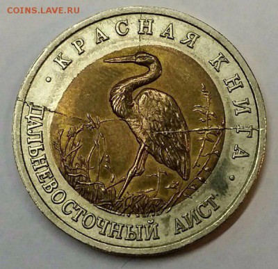 Красная книга 3 раскола смещение диска - F73iguOChLE