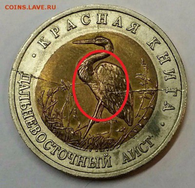 Красная книга 3 раскола смещение диска - F73iguOChLE