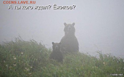 События на Украине. - 4 tt5