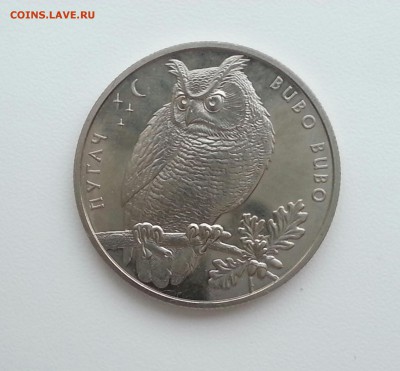!!! 2 гривны Филин. В коллекцию!!! до 17.01.2016 - 3