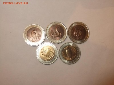 Красная книга Оценка - DSCF1617.JPG