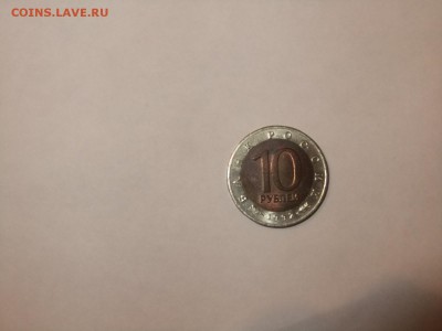 Красная книга Оценка - DSCF1638.JPG
