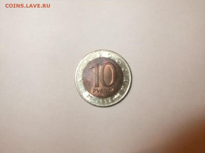Красная книга Оценка - DSCF1639.JPG