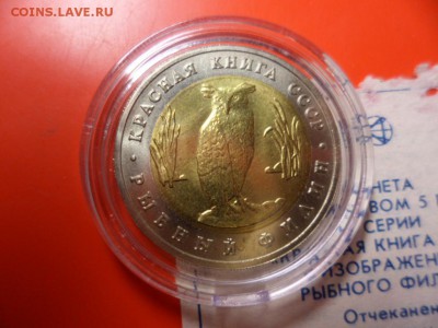 ФИКС. КК Филин UNC в капсуле с сертификатом 20.01.16 22.00 - SAM_5437.JPG