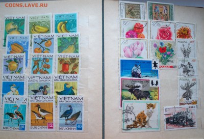 марки в альбоме 320 шт иностранщина - до 17.01.2016 - 100_3098