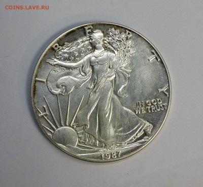 Серебро 1$ США 1987 год, Либерти до 18.01.16 до 22.00 - PHOTO_20160114_134101-1