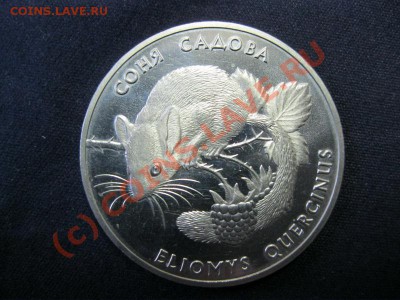 Украина 2 грн. 1999 г. Соня садовая до 01.10.10 в 21.00 - IMG_1012.JPG