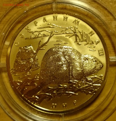 100р Бобр АЦ золото - _20151215_154227.JPG