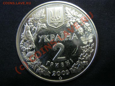 Украина 2 грн. 2003 г. Зубр до 01.10 в 21.00 - IMG_1027.JPG