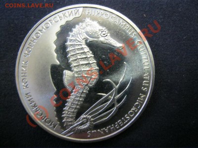 Украина, 2 грн 2003, Морской конек до 01.10 в 21.00 - IMG_1018.JPG