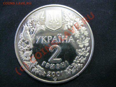 Украина, 2 грн 2001, Модрина Польская до 02.10 в 21.00 - IMG_1021.JPG