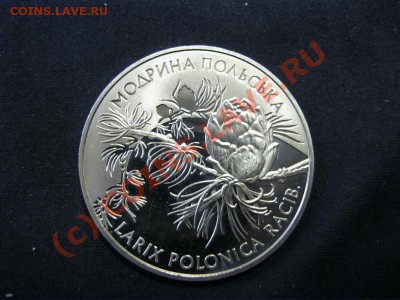 Украина, 2 грн 2001, Модрина Польская до 02.10 в 21.00 - IMG_1020.JPG