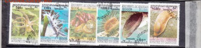 Камбоджа 1999 морская фауна - 22