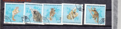 Мадагаскар 1990 лемуры - 24