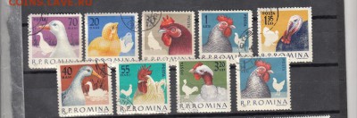 Румыния 1963 домашние птицы - 27