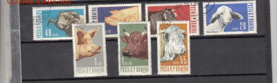 Румыния 1962 домашние животные - 28