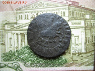 Копейка Петра-I, 1715г. До 20.01.2015 в 22:00 по Москве. - IMG_2068.JPG