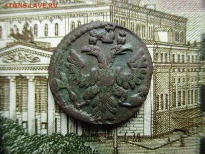 Полушка 1735 год . Розетка 4 лепестка. - IMG_2039.JPG