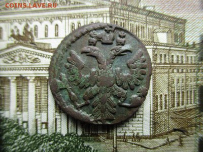 Полушка 1735 год . Розетка 4 лепестка. - IMG_2040.JPG