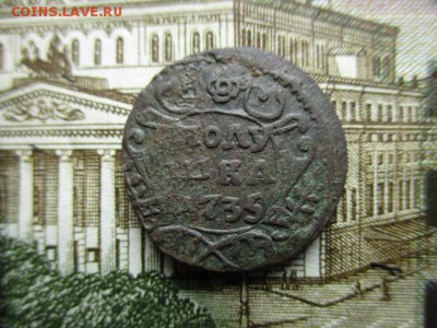 Полушка 1735 год . Розетка 4 лепестка. - IMG_2041.JPG