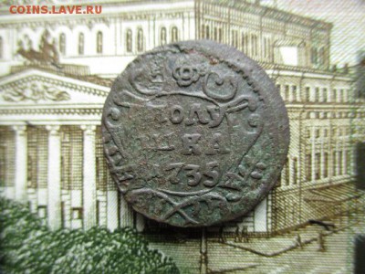 Полушка 1735 год . Розетка 4 лепестка. - IMG_2042.JPG
