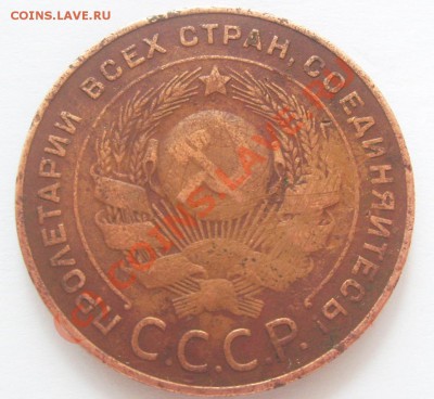 10 - S5007443.JPG