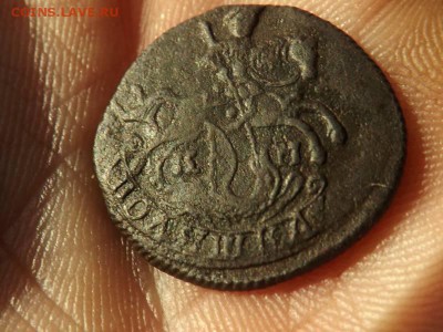 Полушка - конь 1785 года.хорошая.до 16.01.16 года. - DSCF62031J_3303296_20261636