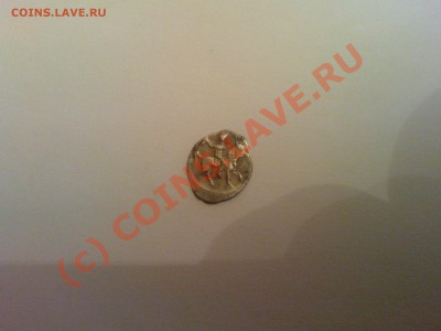 Чешуйка - DSC00050.JPG