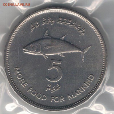 МАЛЬДИВЫ 5 РУФИЙ 1977 ФАО СКУМБРИЯ 21.01 В 22.00МСК (Б440) - 4-м