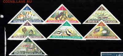 Малуку селатам рыбки - 35