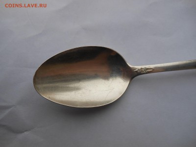 Ложка столовая "Каштан" Киев. - DSCN2084.JPG