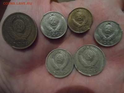 Выкусы 6 монеток оценка - SAM_2637.JPG