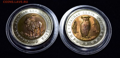 Красная Книга Козел и Филин в UNC с 200 до 21 - _DSC7629