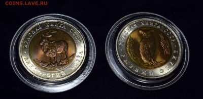 Красная Книга Козел и Филин в UNC с 200 до 21 - _DSC7654