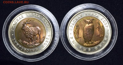 Красная Книга Козел и Филин в UNC с 200 до 21 - DSC_7637