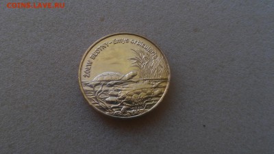 2 зл. Польша - Болотная черепаха до 21.01.2016 - 20150826_110602