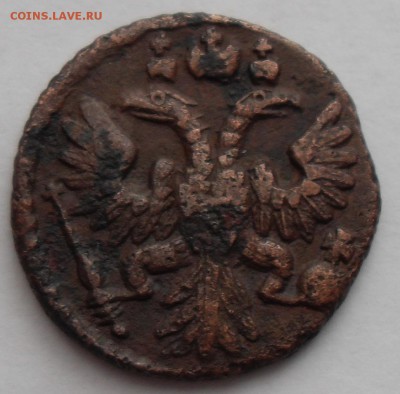 Полушка 1735 год - Полушка 1735 аверс