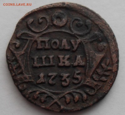 Полушка 1735 год - Полушка 1735 реверс