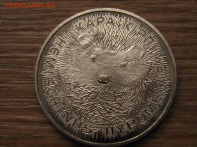 Казахстан 50 тенге 2013 Ёж до 20.01.16 в 21.00 М - IMG_5872.JPG