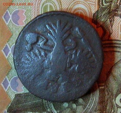 Деньга 1731 г. (перечекан)  до 21.01.2016г.  22:00  МСК - IMG_8003.JPG