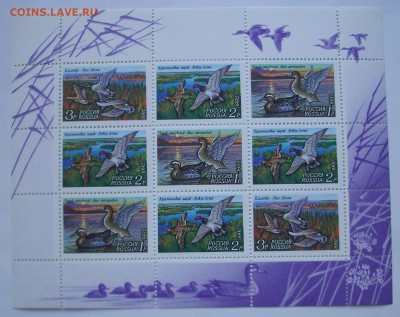 РОССИЯ. УТКИ. 1992 г. мл.  До 22.01.16 г. - IMG_4496.JPG
