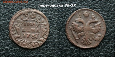 Полушка 1737. перегодовка 36-37 - IMG_5714.JPG